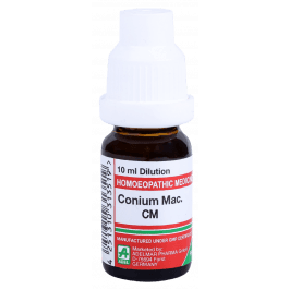 Conium Maculatum 9
