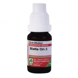 Blatta Orientalis 6