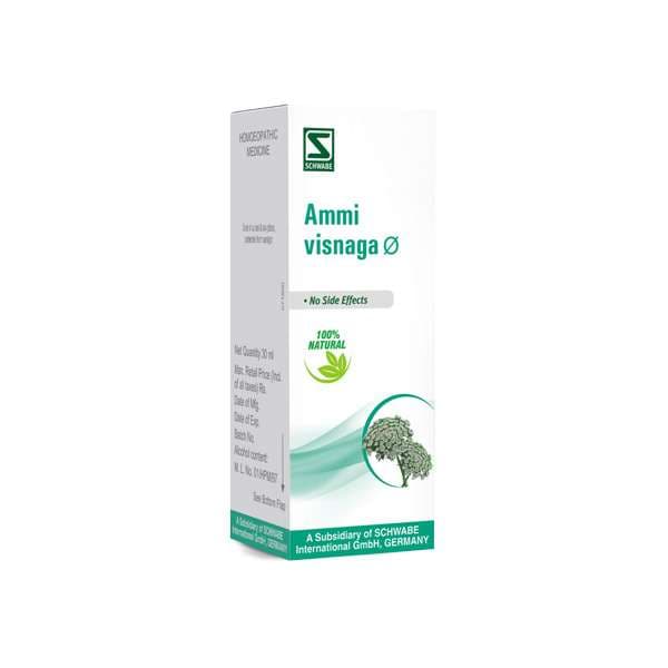 Ammi Visnaga 2