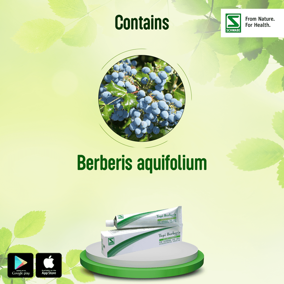 Topi Berberis Cream 4
