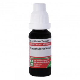Scrophularia Nodosa 8