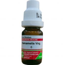 Hamamelis Virginica 6
