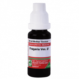 Fragaria Vesca 4