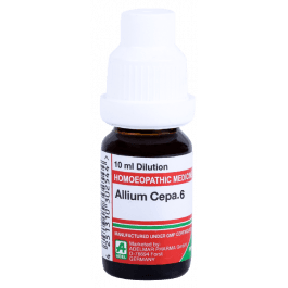 Allium Cepa 7