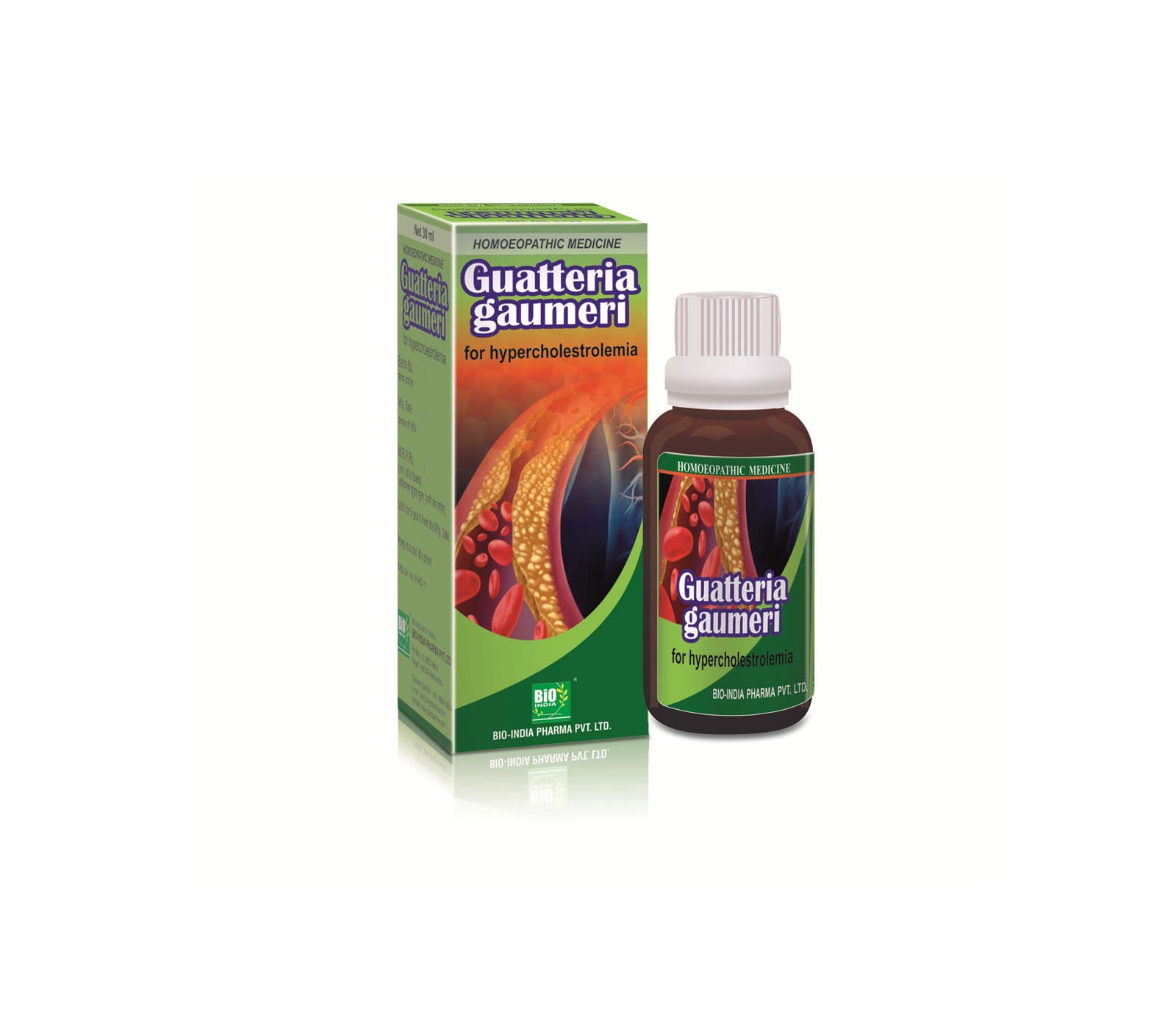 Guatteria Gaumeri 12
