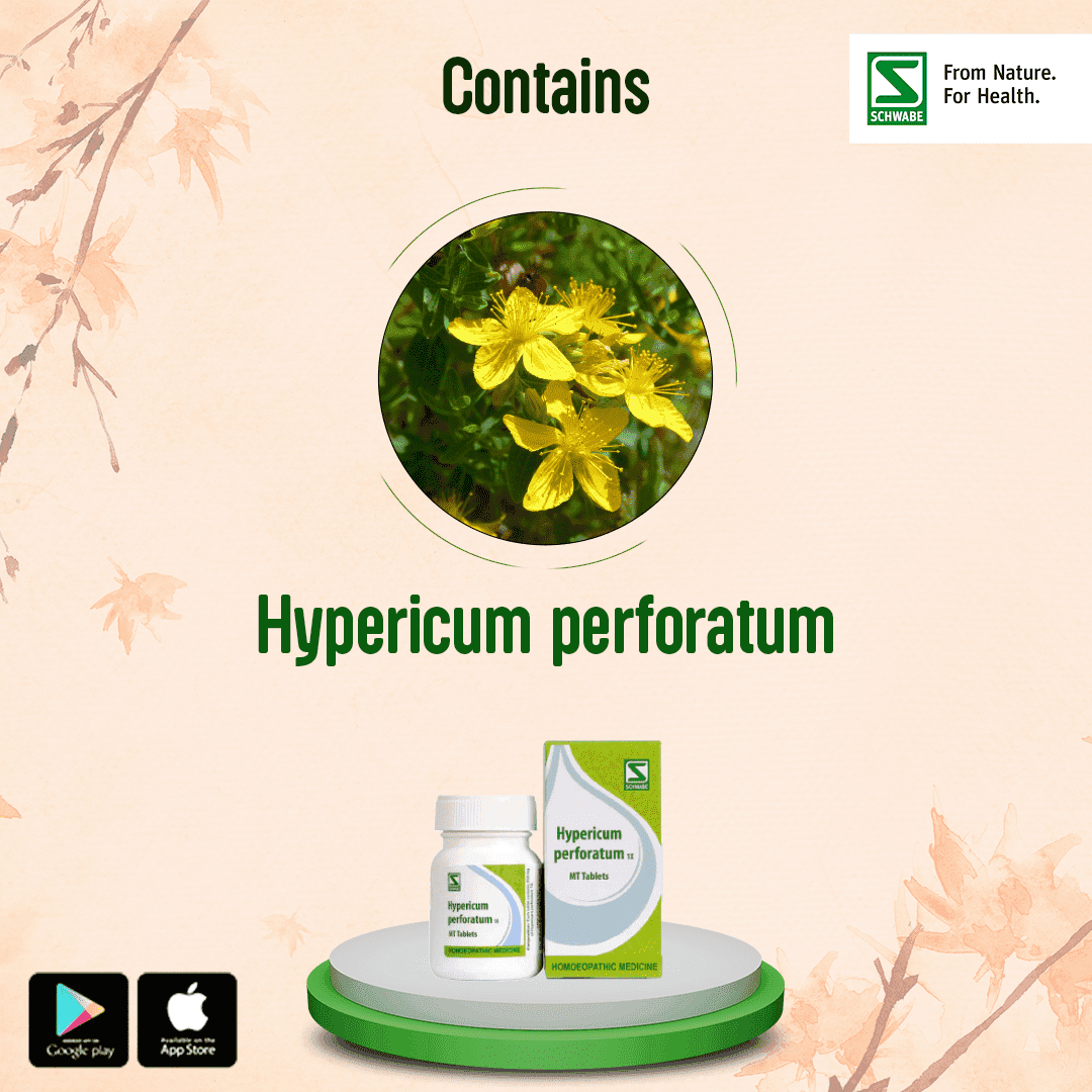 Hypericum Perforatum 4