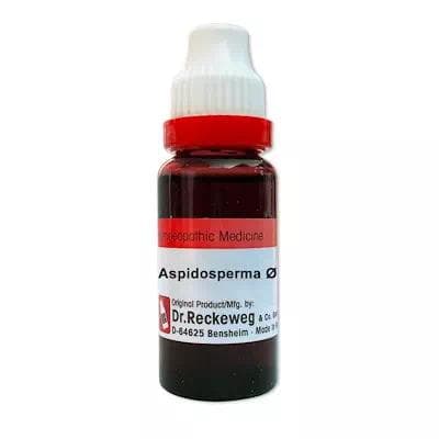Aspidosperma Quebracho 1
