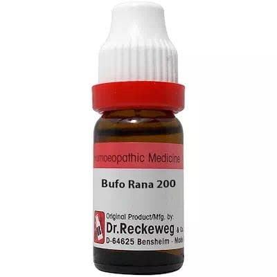Bufo Rana 1