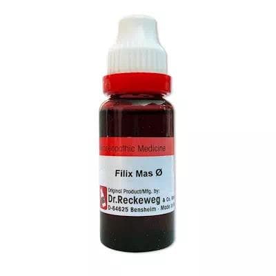 Filix Mas 1
