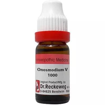 Onosmodium Virginianum 1