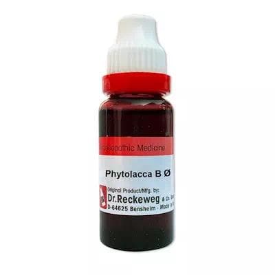 Phytolacca Berry 1