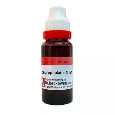 Scrophularia Nodosa 1