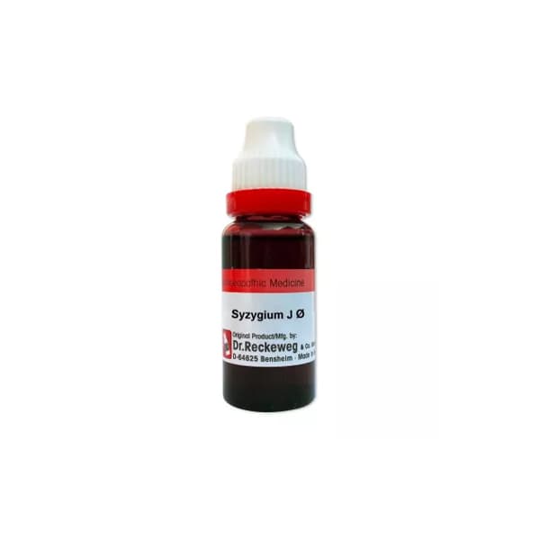 Syzygium Jambolanum 1