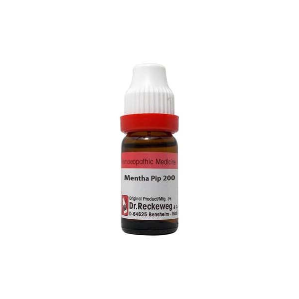 Mentha Piperita 1