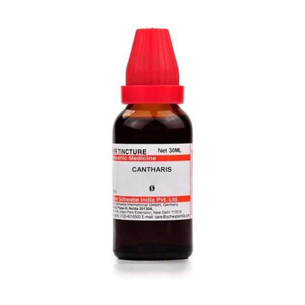 Cantharis 2