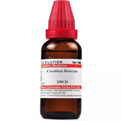 Corallium Rubrum