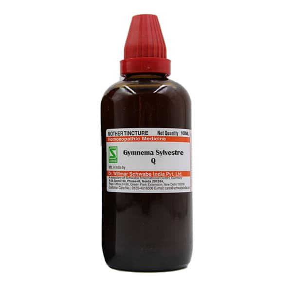 Gymnema Sylvestre 2