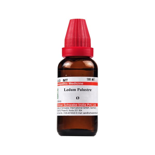 Ledum Palustre