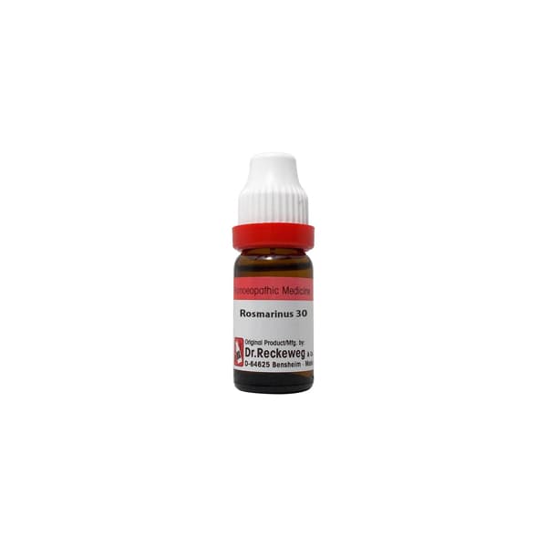 Rosmarinus Officinalis 1