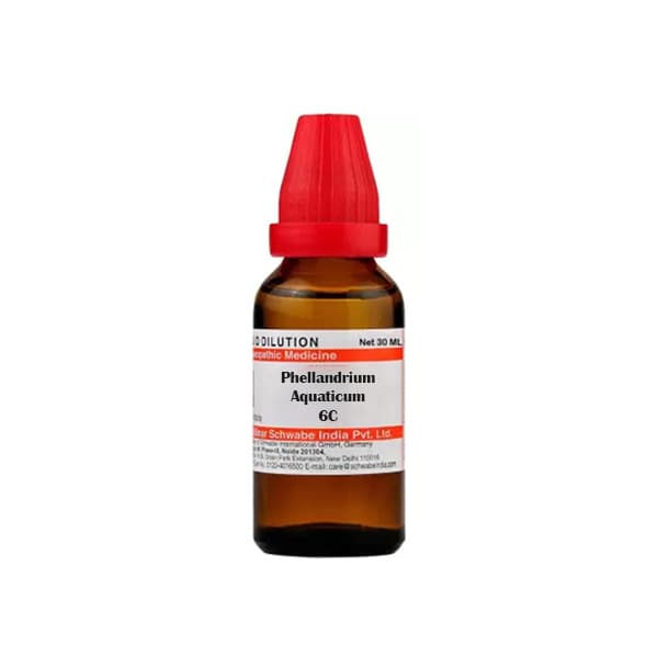 Phellandrium Aquaticum