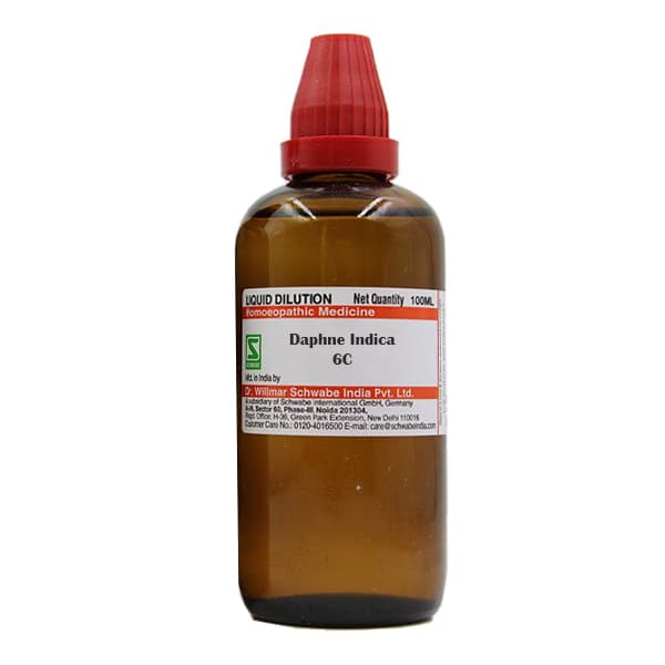 Daphne Indica
