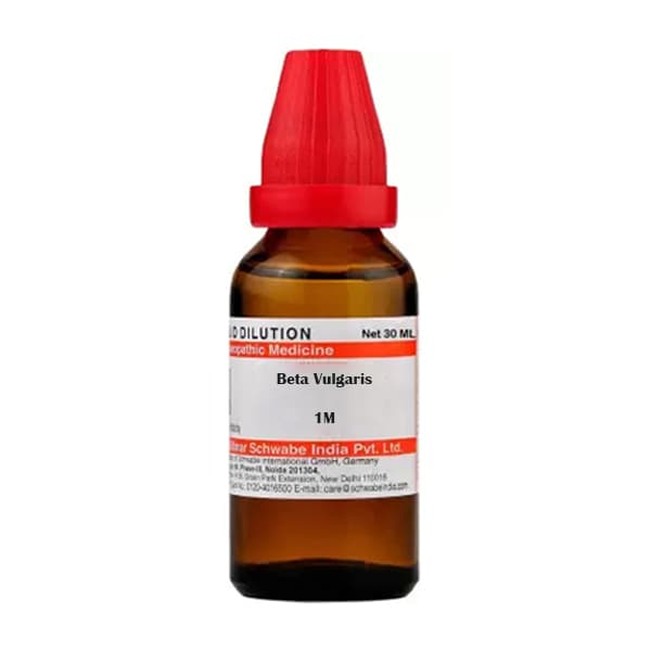 Beta Vulgaris