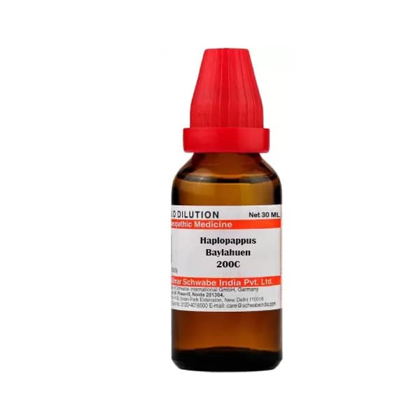 Haplopappus Baylahuen