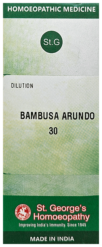 Bambusa Arundinacea 2