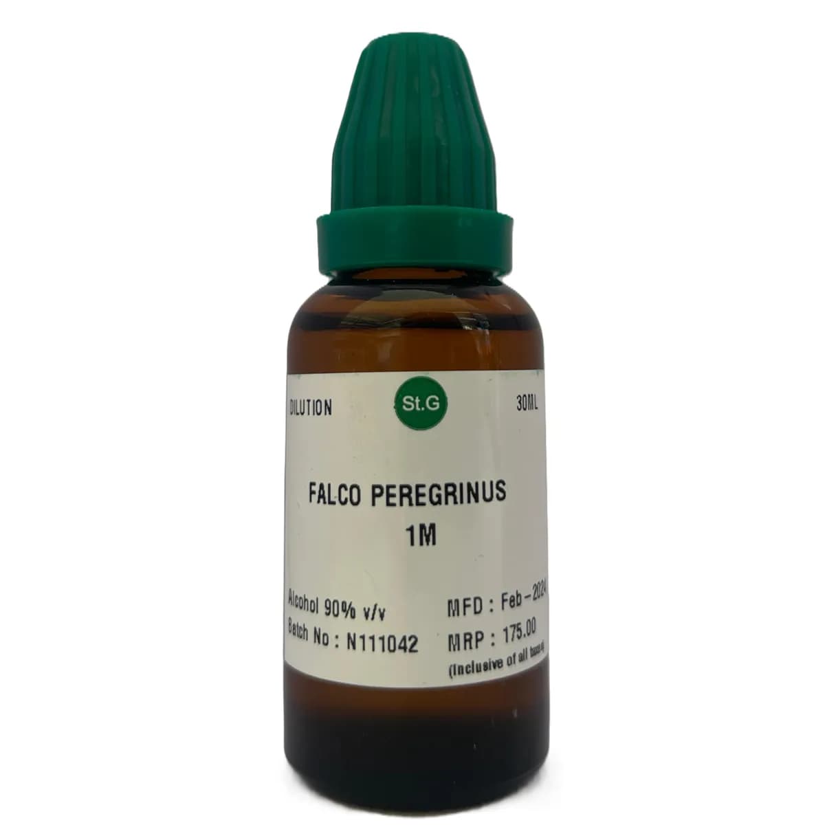 Falco Peregrinus 3