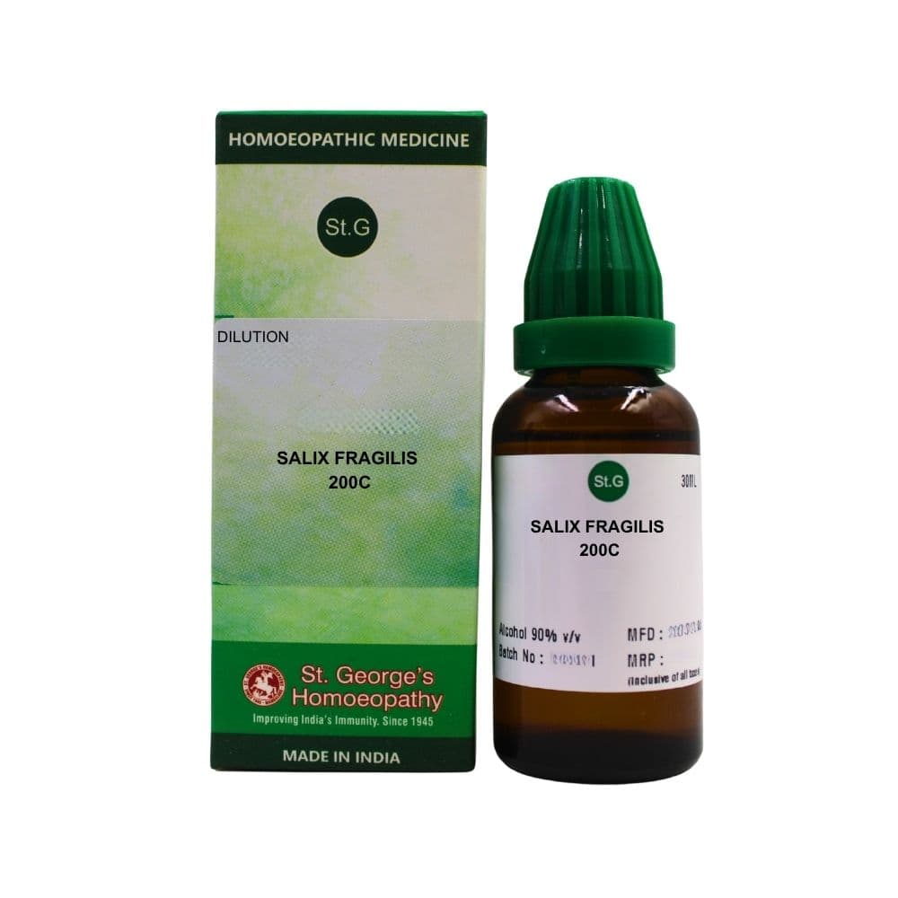 Salix Fragilis 2