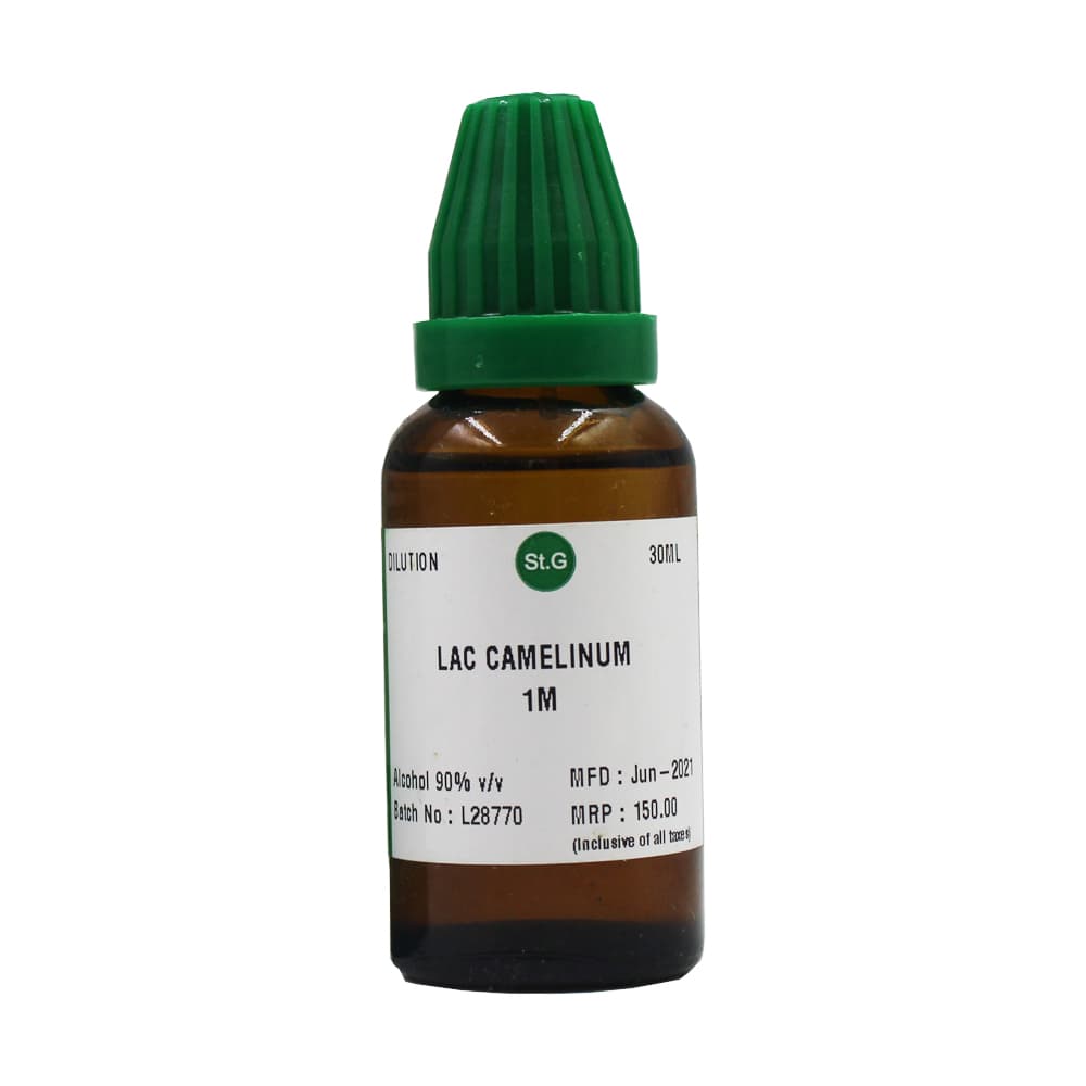 Lac Camellinum 2