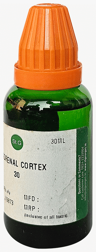 Adrenal Cortex 4
