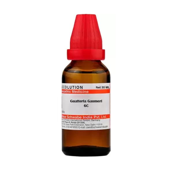 Guatteria Gaumeri