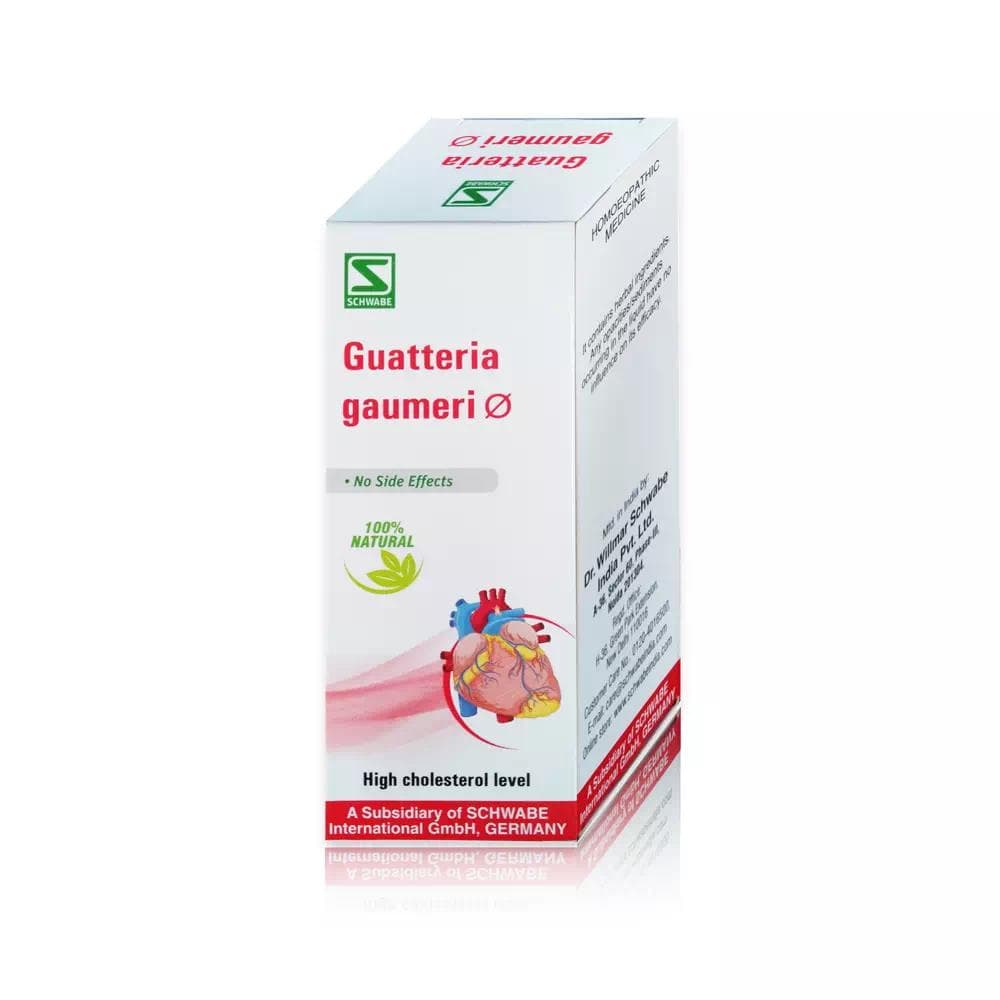 Guatteria Gaumeri