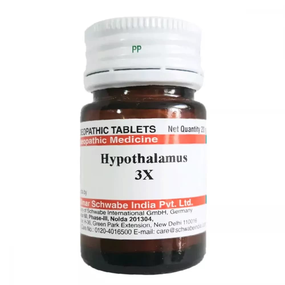 Hypothalamus 3