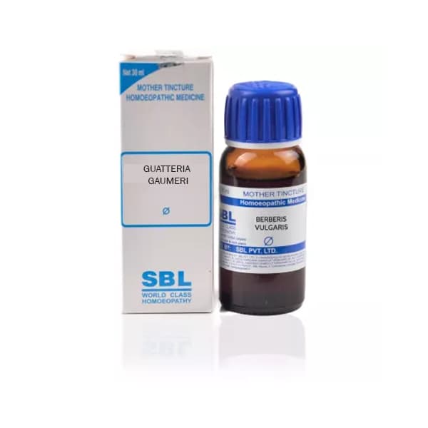 Guatteria Gaumeri 1
