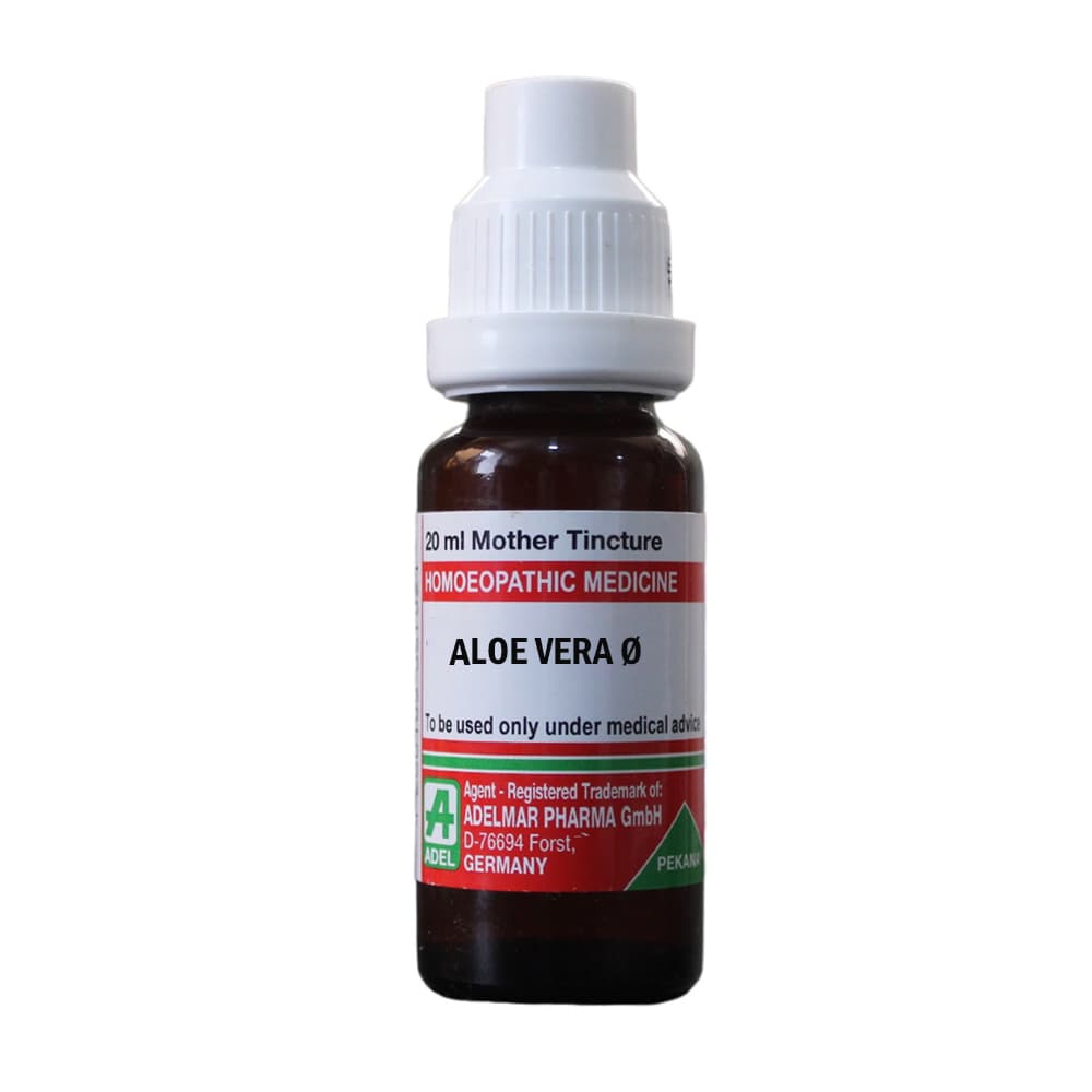 Aloe Vera 1
