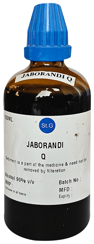 Jaborandi 2