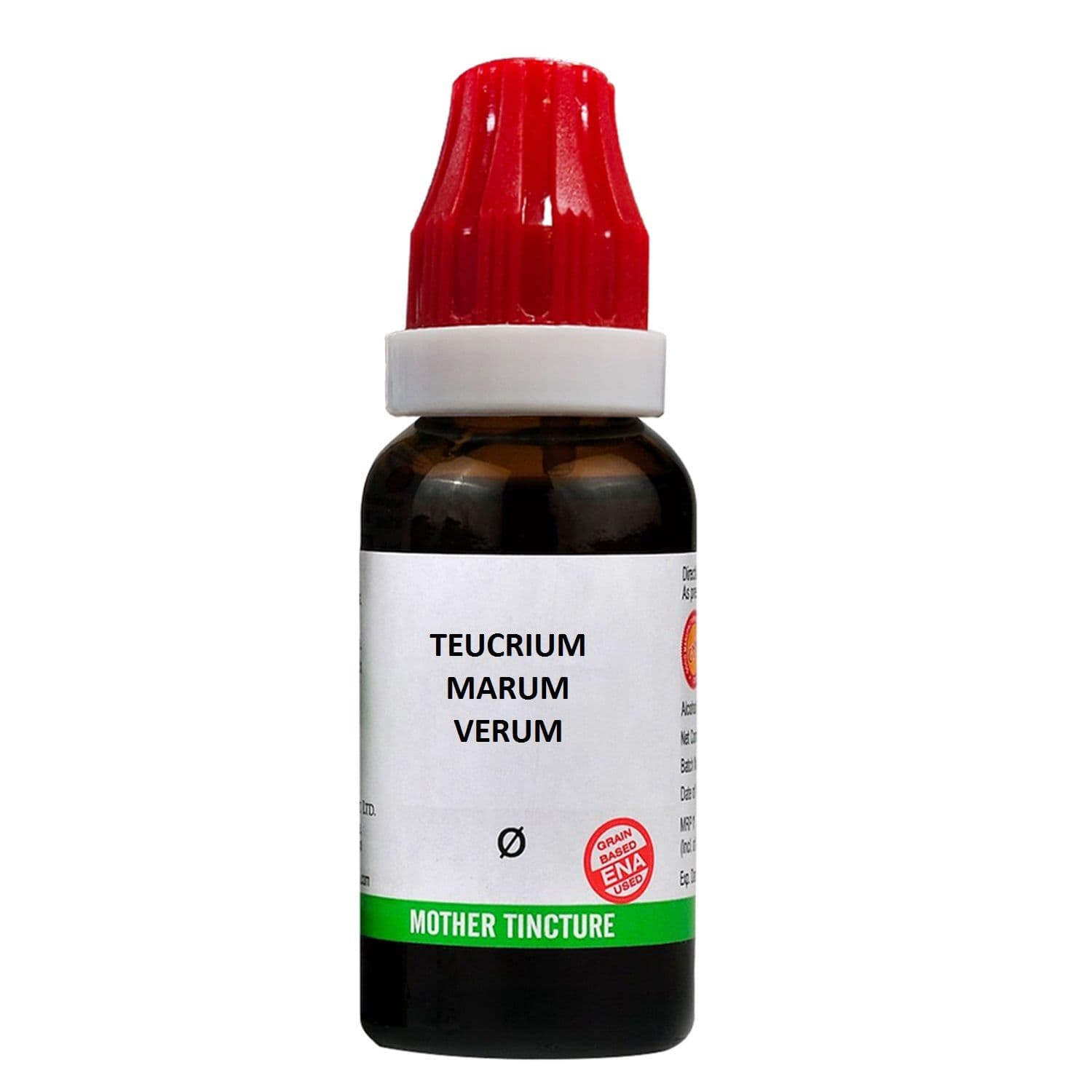 Teucrium Marum Virum