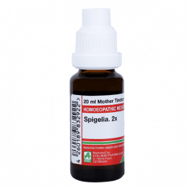 Spigelia