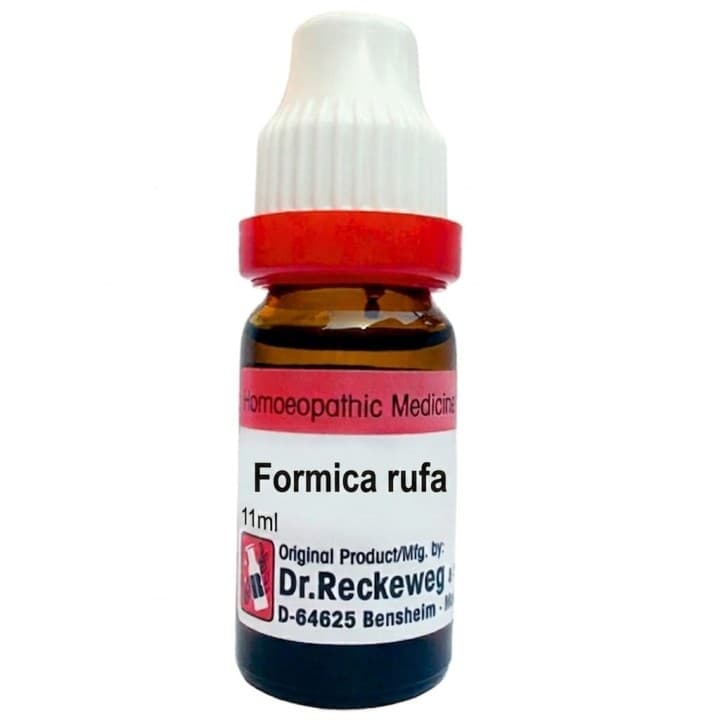 Formica Rufa