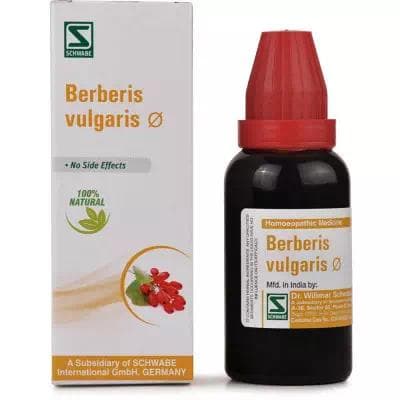 Berberis Vulgaris