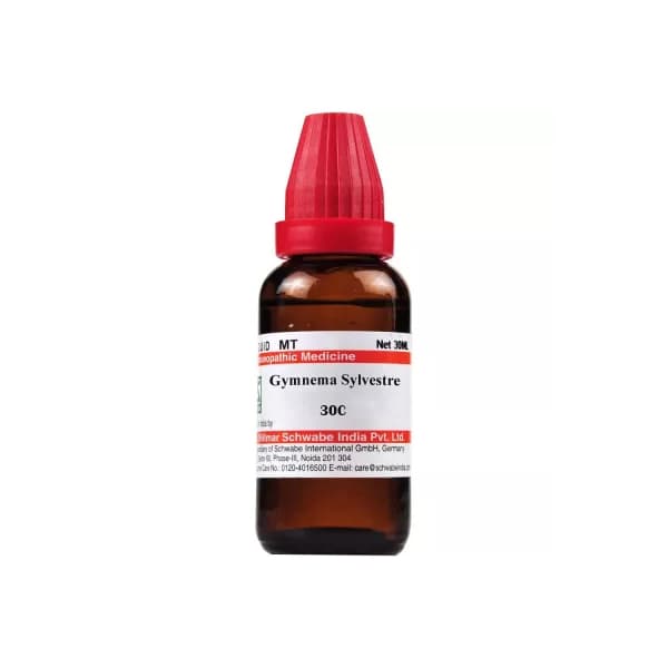 Gymnema Sylvestre