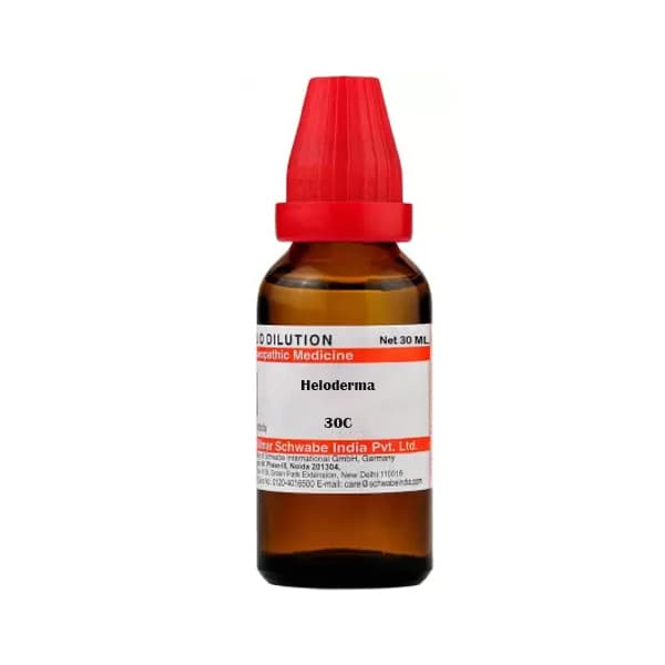 Heloderma
