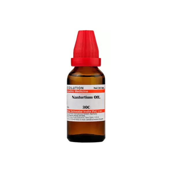 Nasturtium Officinale