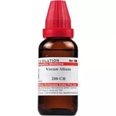Viscum Album