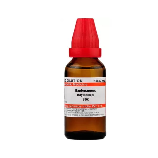 Haplopappus Baylahuen