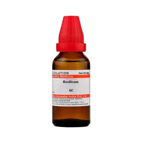 Basilicum
