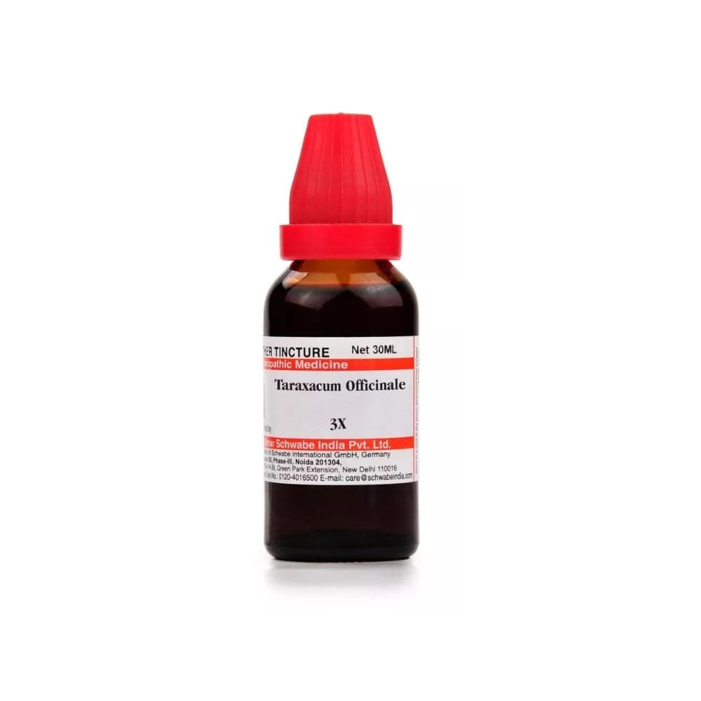 Taraxacum Officinale