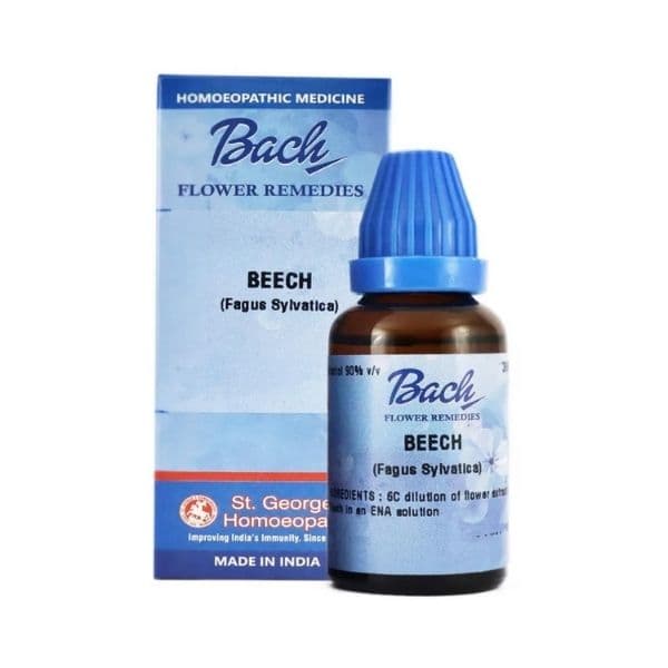 Beech